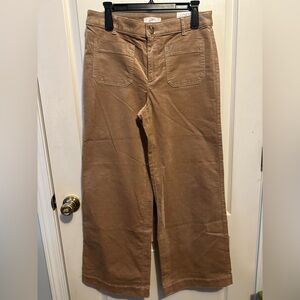 LOFT Tan Wide Leg Pants